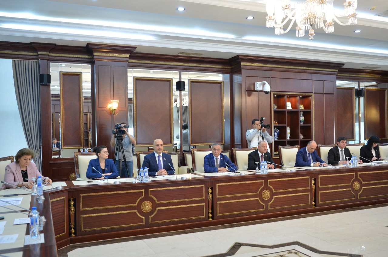 Milli Məclisin Səhiyyə komitəsinin iclası keçirilib - FOTOLAR