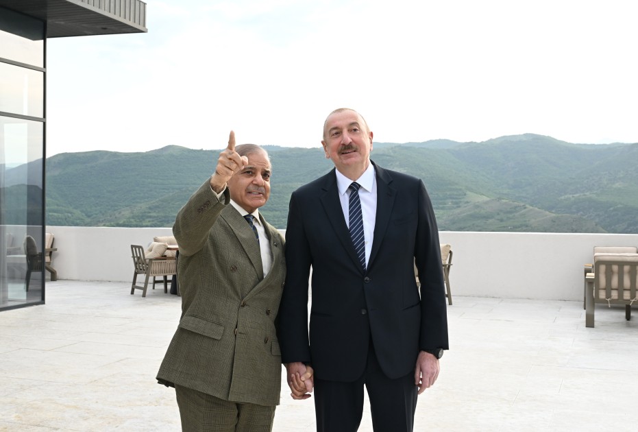 Prezidentin Şahbaz Şəriflə geniş tərkibdə görüşü oldu - FOTOLAR