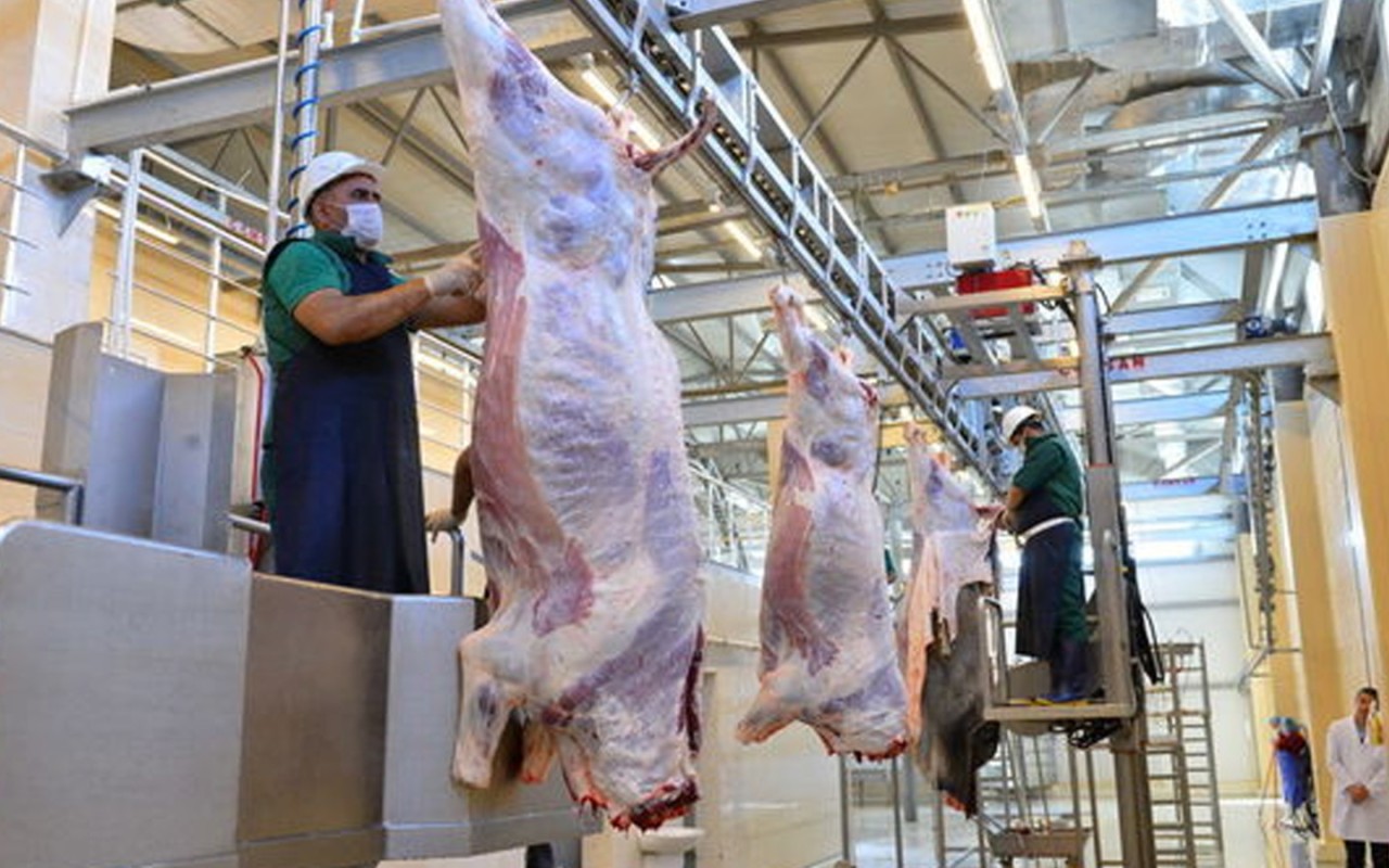Qurbanlıq heyvanların satışı və kəsimi bu ünvanlarda olacaq- SİYAHI Qurbanlıq heyvanların satışı və kəsimi bu ünvanlarda olacaq- SİYAHI