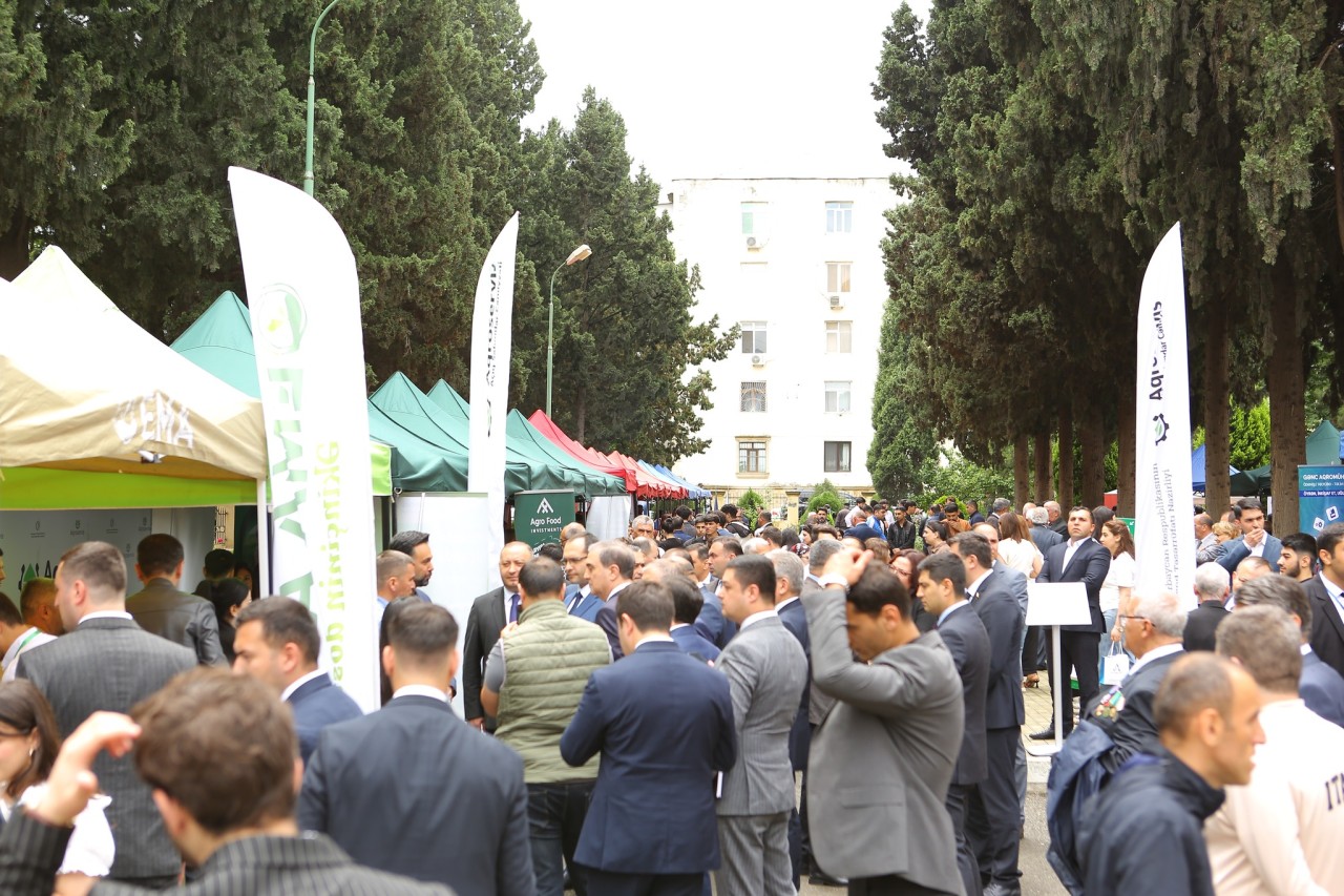 ADAU-da keçirilən 17-ci Karyera Sərgisinə 1000-dən çox vakant iş yeri çıxarılıb - FOTOLAR