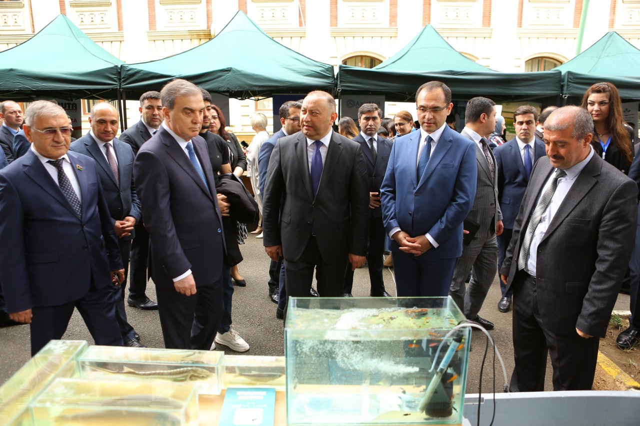 ADAU-da keçirilən 17-ci Karyera Sərgisinə 1000-dən çox vakant iş yeri çıxarılıb - FOTOLAR