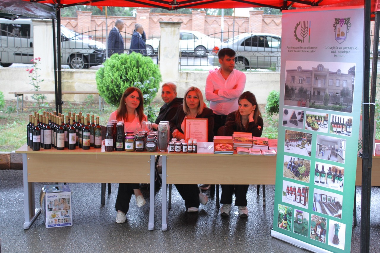 ADAU-da keçirilən 17-ci Karyera Sərgisinə 1000-dən çox vakant iş yeri çıxarılıb - FOTOLAR