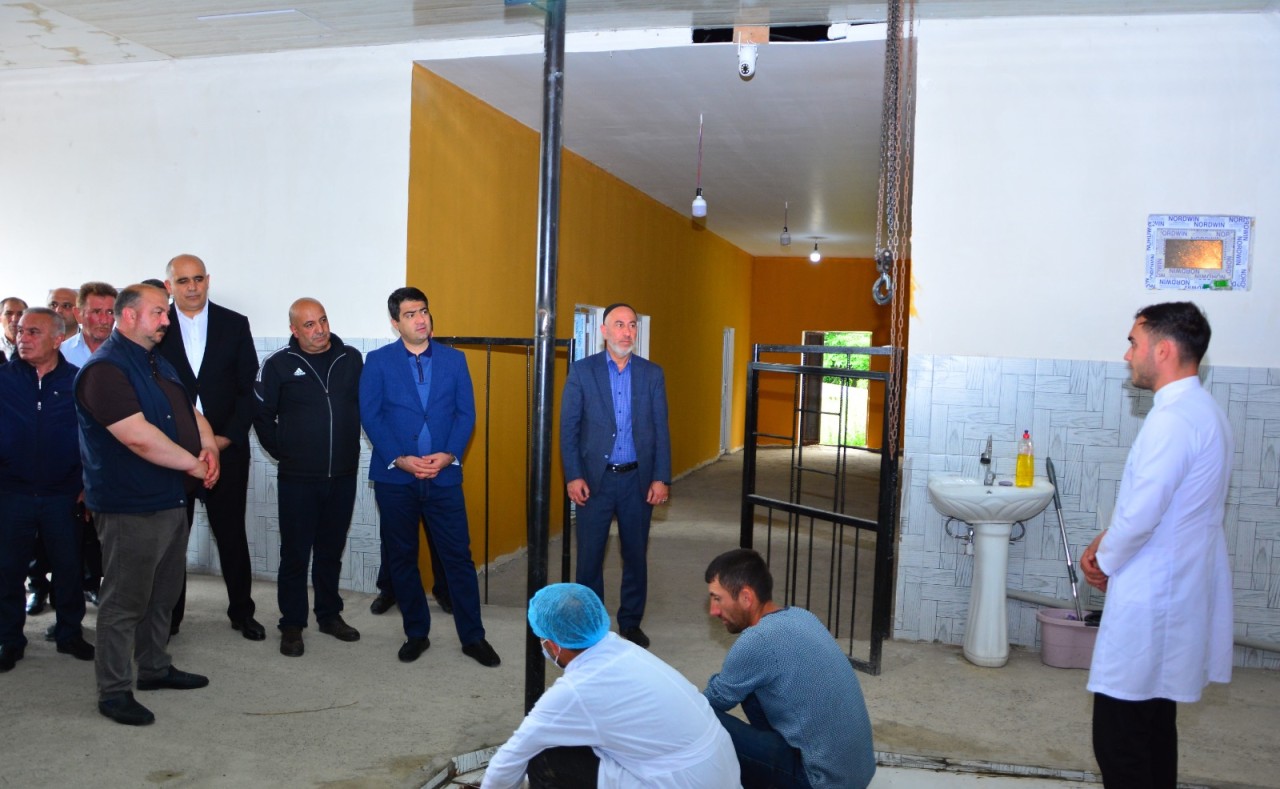 Ağstafada heyvanların satışı və kəsimi zəruri norma və qaydalarla həyata keçirilir - FOTOLAR
