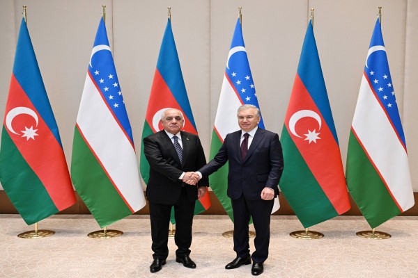 Əli Əsədov Özbəkistan Prezidenti iləgörüşdü