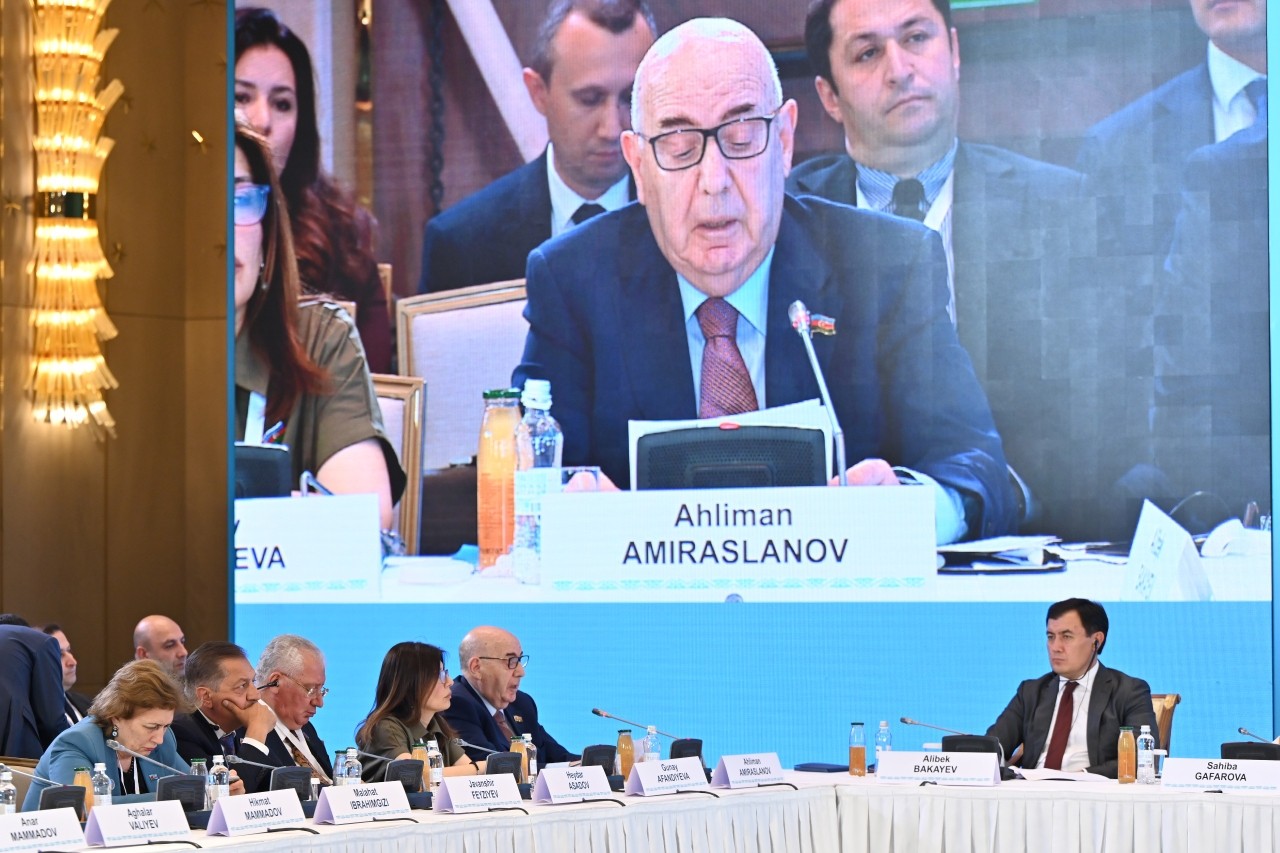“TÜRKPA üzv dövlətlərində qanunvericiliyin uyğunlaşdırılması zəruridir” - FOTO
