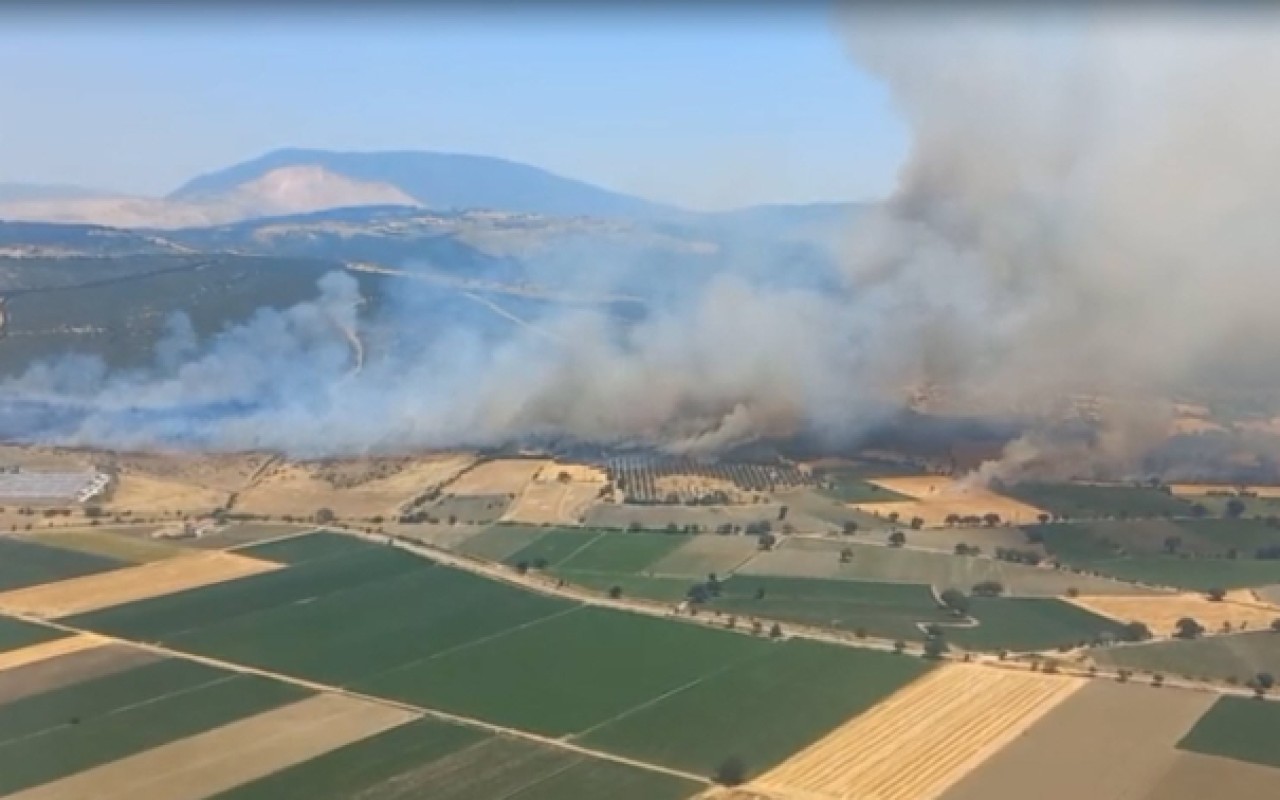 İzmirdə meşə yanğını:Təyyarə və helikopterlər cəlb olundu İzmirdə meşə yanğını:Təyyarə və helikopterlər cəlb olundu
