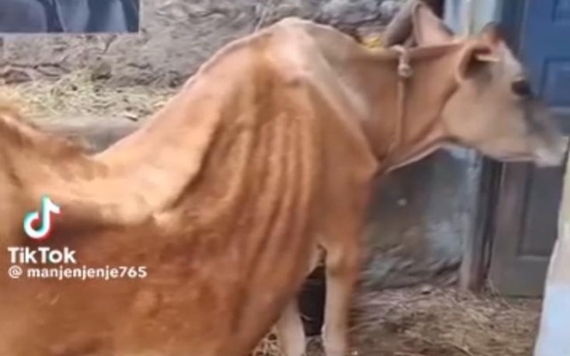 Azərbaycanda çəkildiyi iddia edilən fotolarla bağlırəsmi açıqlama (FOTO) Azərbaycanda çəkildiyi iddia edilən fotolarla bağlırəsmi açıqlama (FOTO)