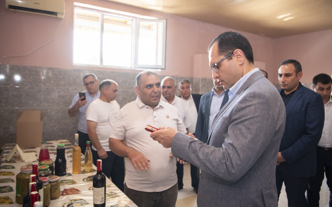 Nazir Şamaxıda şərab istehsalı müəssisələrinin fəaliyyəti ilə tanış olub -FOTOLAR
