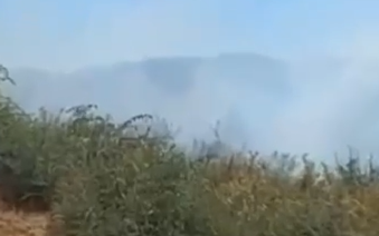Cəlilabadda meşə yanır- YENİLƏNİB (VİDEO) Cəlilabadda meşə yanır- YENİLƏNİB (VİDEO)