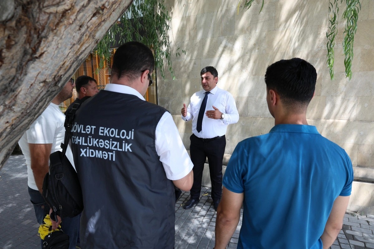 İçərişəhərdəki ağacların qeydiyyatı və nömrələnməsinə başlanıldı - FOTOLAR