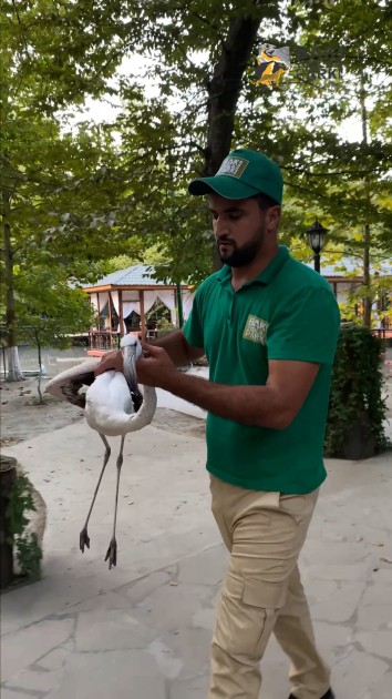 "Çənlibel" restoranında qanunsuz saxlanılan heyvanlar xilas edildi - FOTOLAR