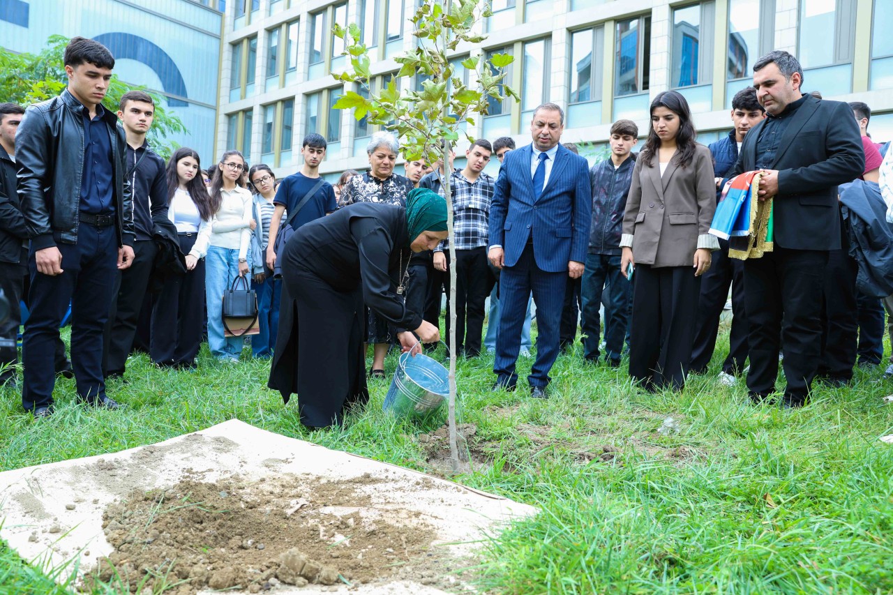 UNEC-də kök salan şəhidlər: Onların xatirəsi Xan çinarla əbədiləşdirildi (VİDEO)
