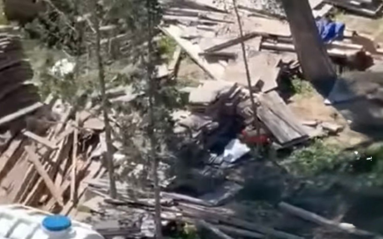 Sumqayıtda ağacları kəsdilər - Polis araşdırmaya başladı