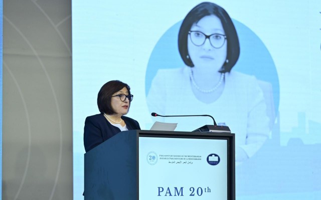 Sahibə Qafarova Sammitdə çıxış etdi