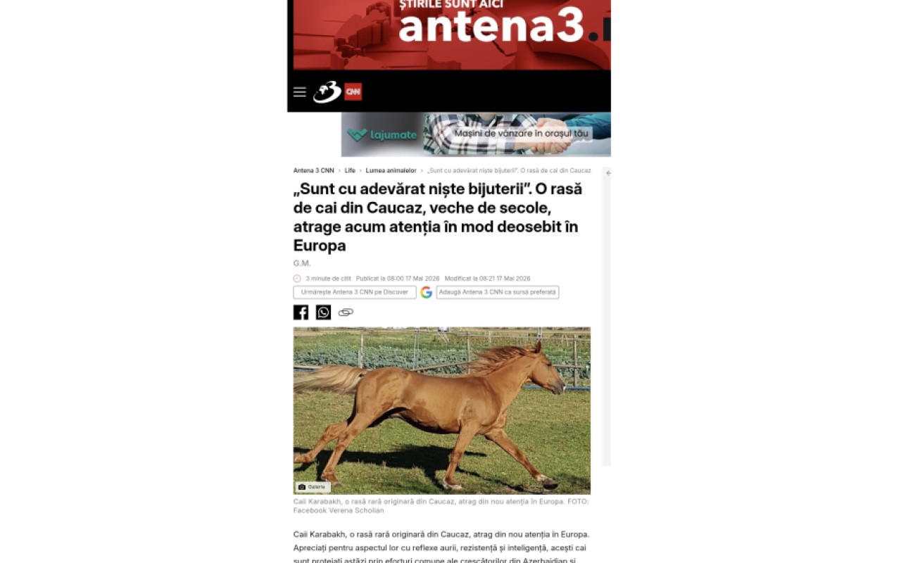 Qarabağ atları Avropada yenidən diqqət