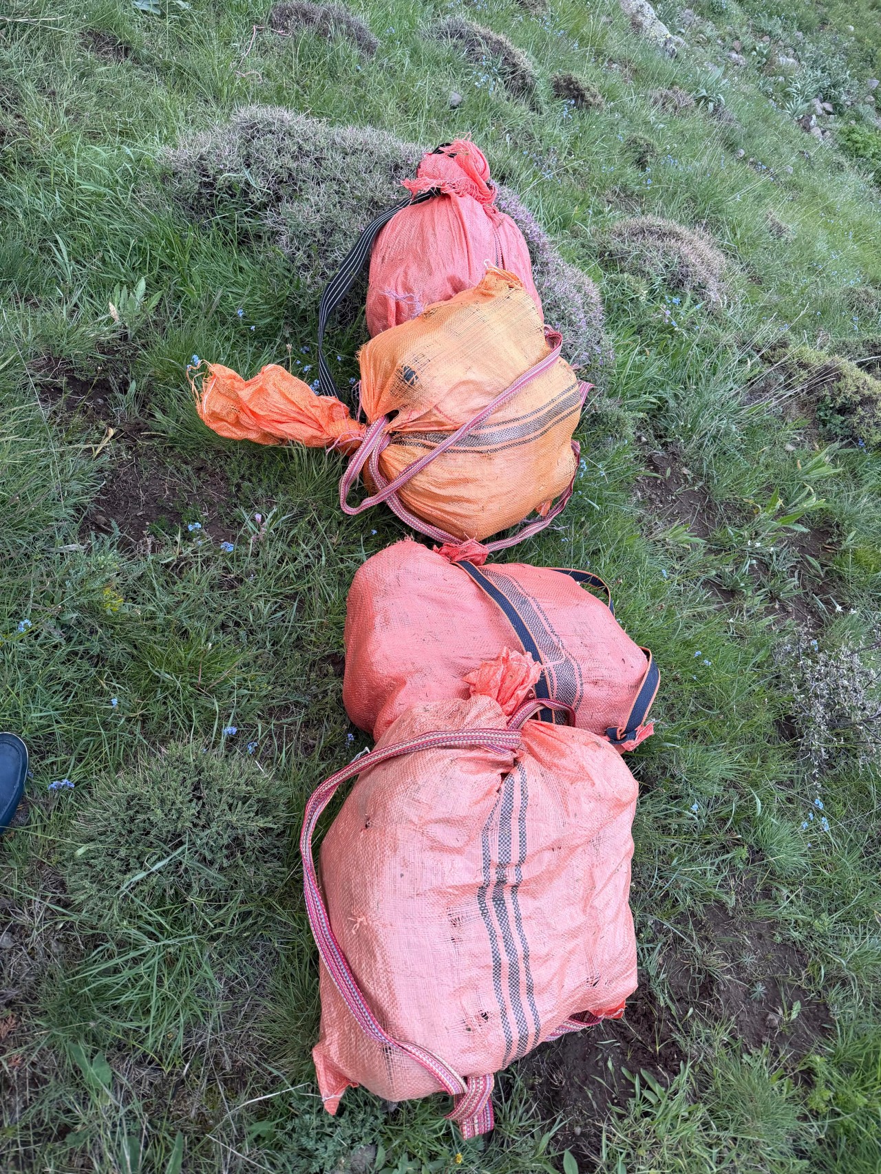 DİN və DSX sərhəddə əməliyyat keçirdi - FOTOLAR
