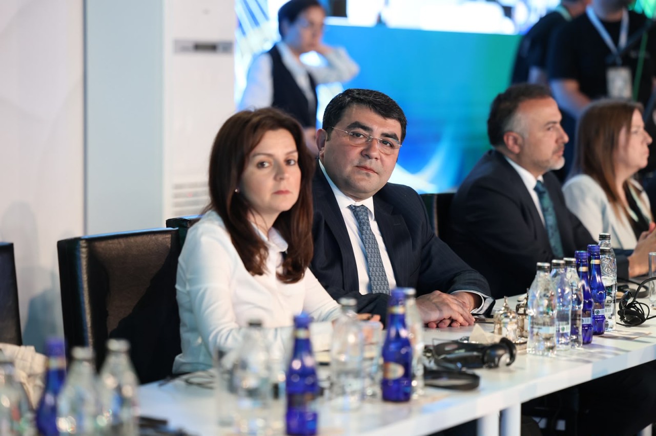 Nazir Məcnun Məmmədov İstanbulda toplantıda çıxış edib - FOTOLAR
