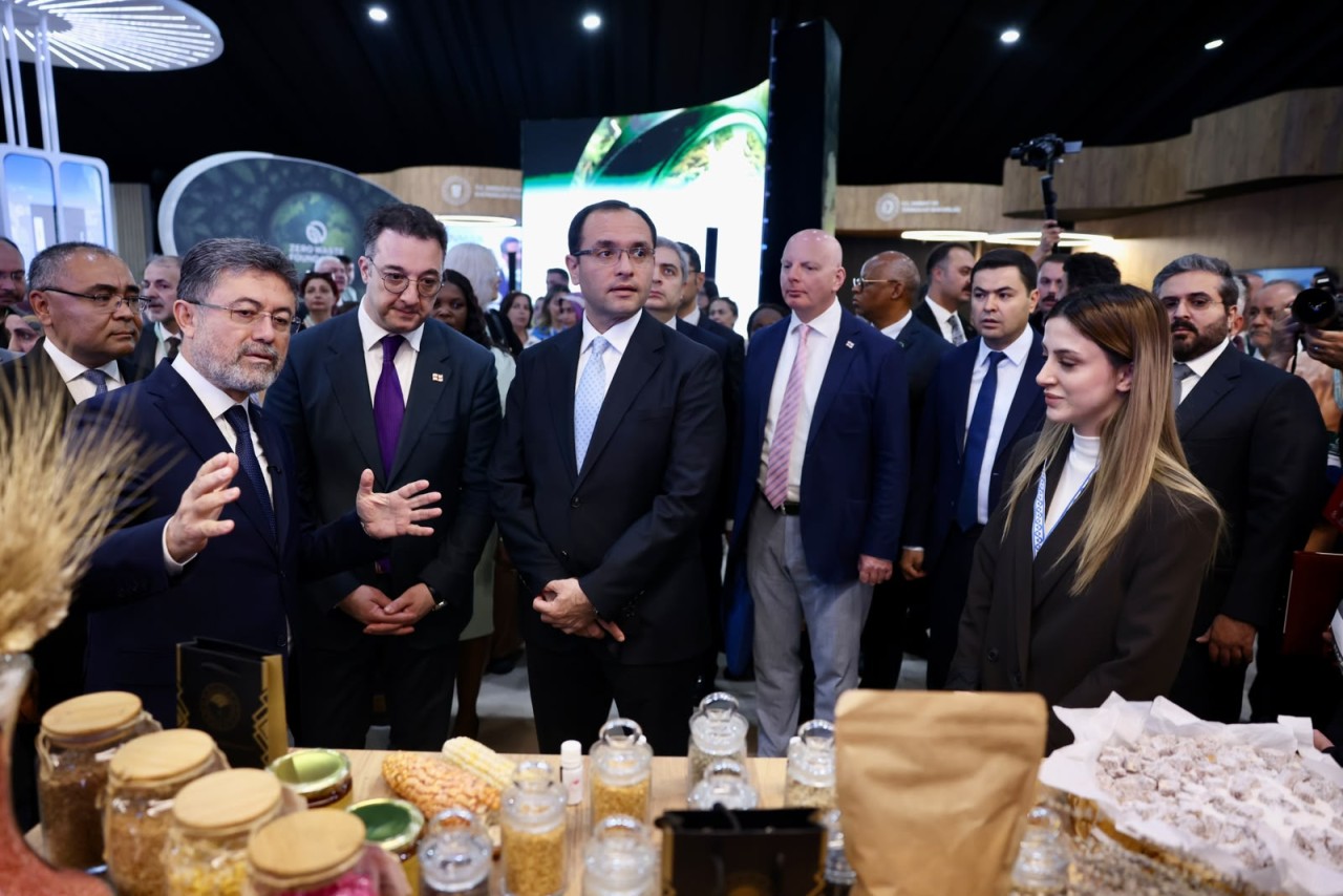 Nazir Məcnun Məmmədov İstanbulda toplantıda çıxış edib - FOTOLAR