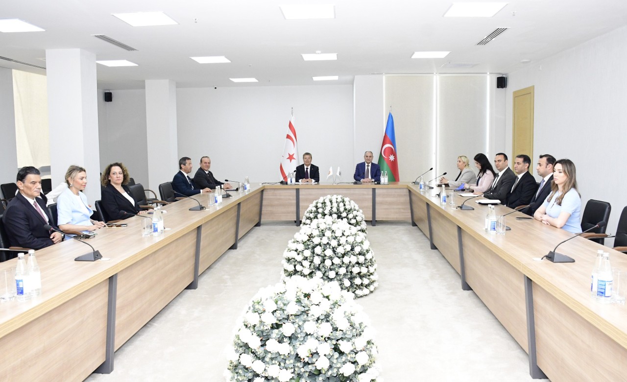 YAP Sədrinin müavini ilə Ulusal Birlik Partiyasının Sədri arasında görüş keçirilib - FOTOLAR