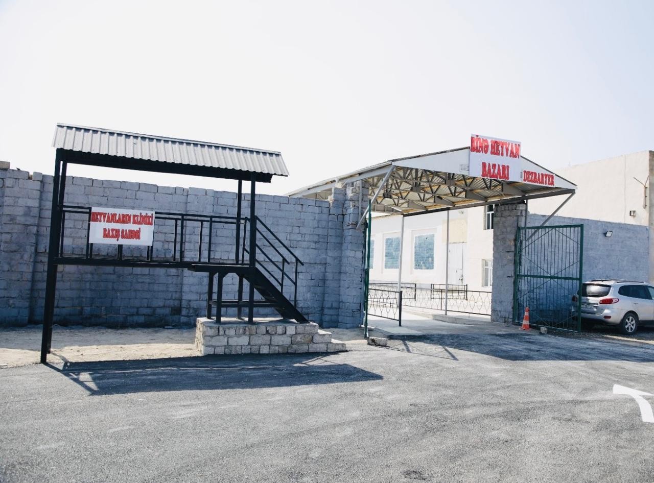 Binədə yeni heyvan bazarı fəaliyyətə başladı - FOTOLAR