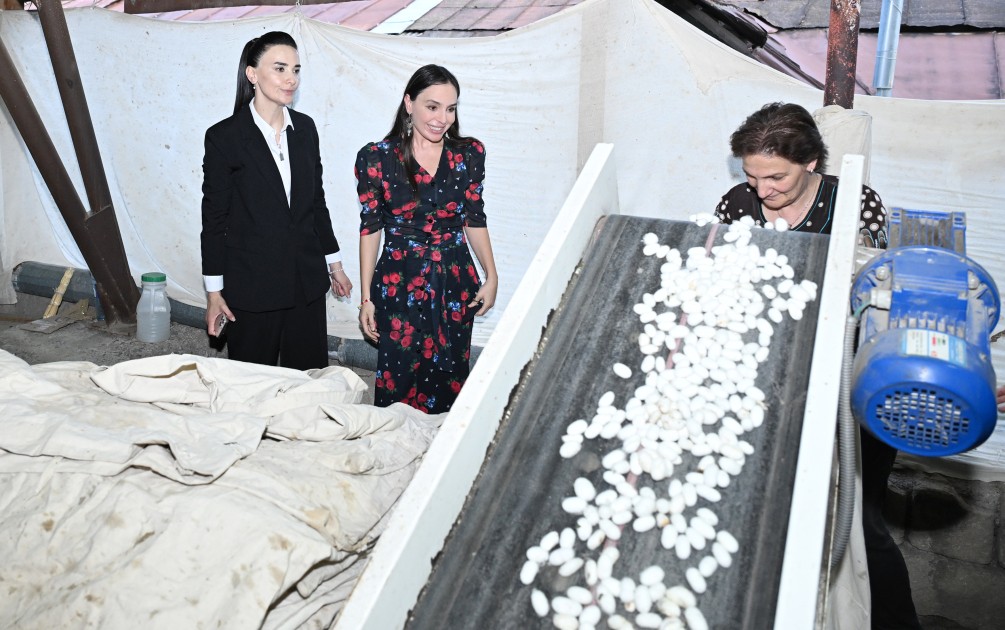Leyla Əliyeva "Azəripək" ASC-nin fəaliyyəti ilə yaxından tanış olub - FOTOLAR