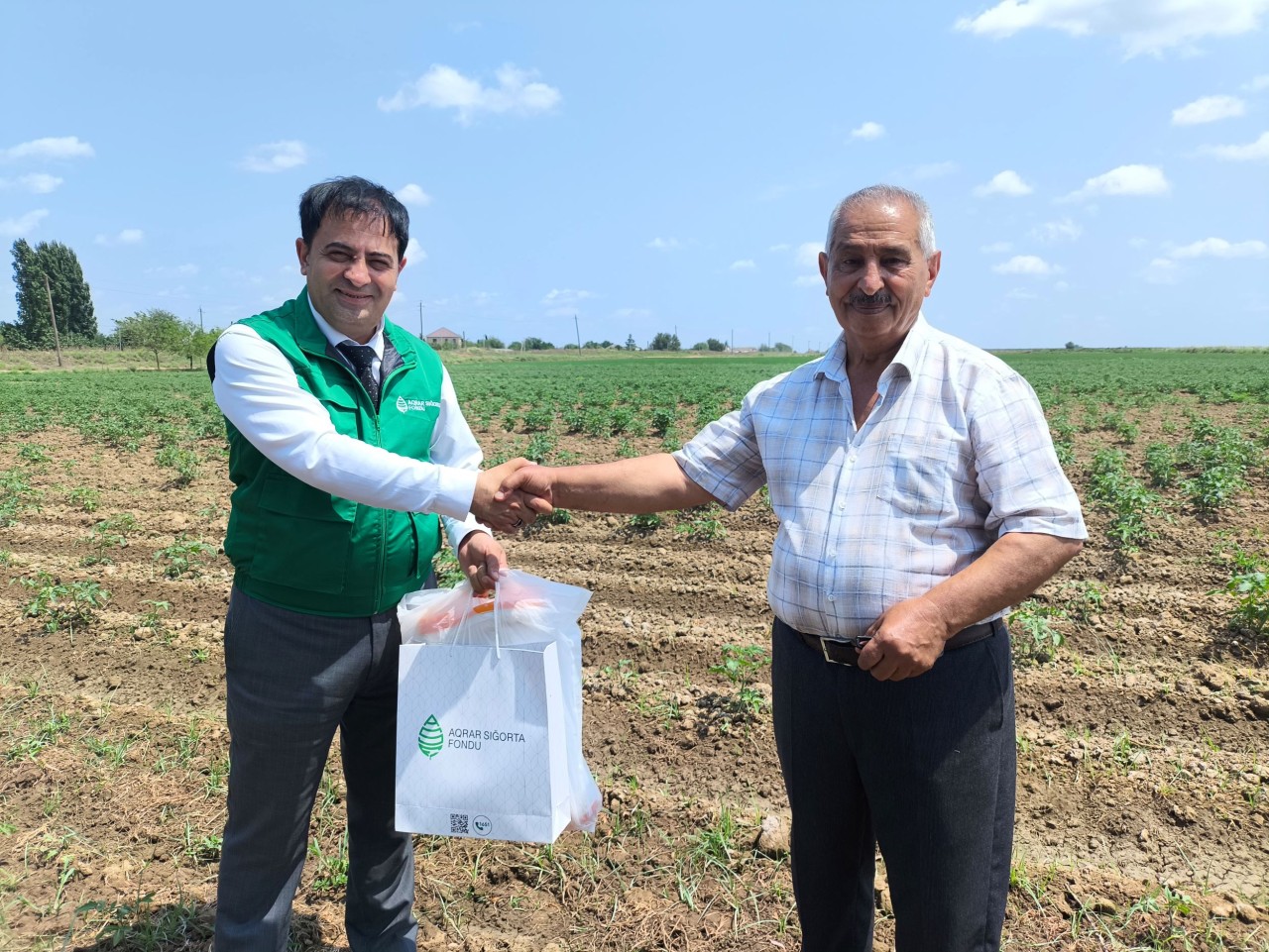 Cəlilabad və Biləsuvarda təsərrüfatlara dəymiş zərərlər üzrə sığorta ödənişləri edildi - FOTOLAR