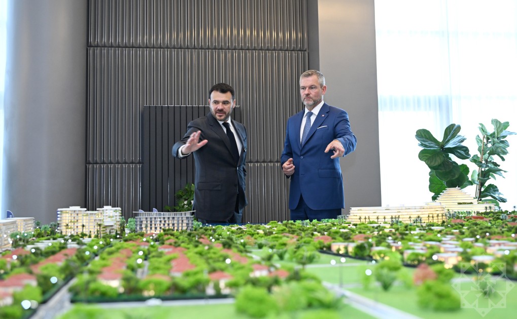 Slovakiya Prezidenti “Sea Breeze”lə tanış oldu - FOTOLAR