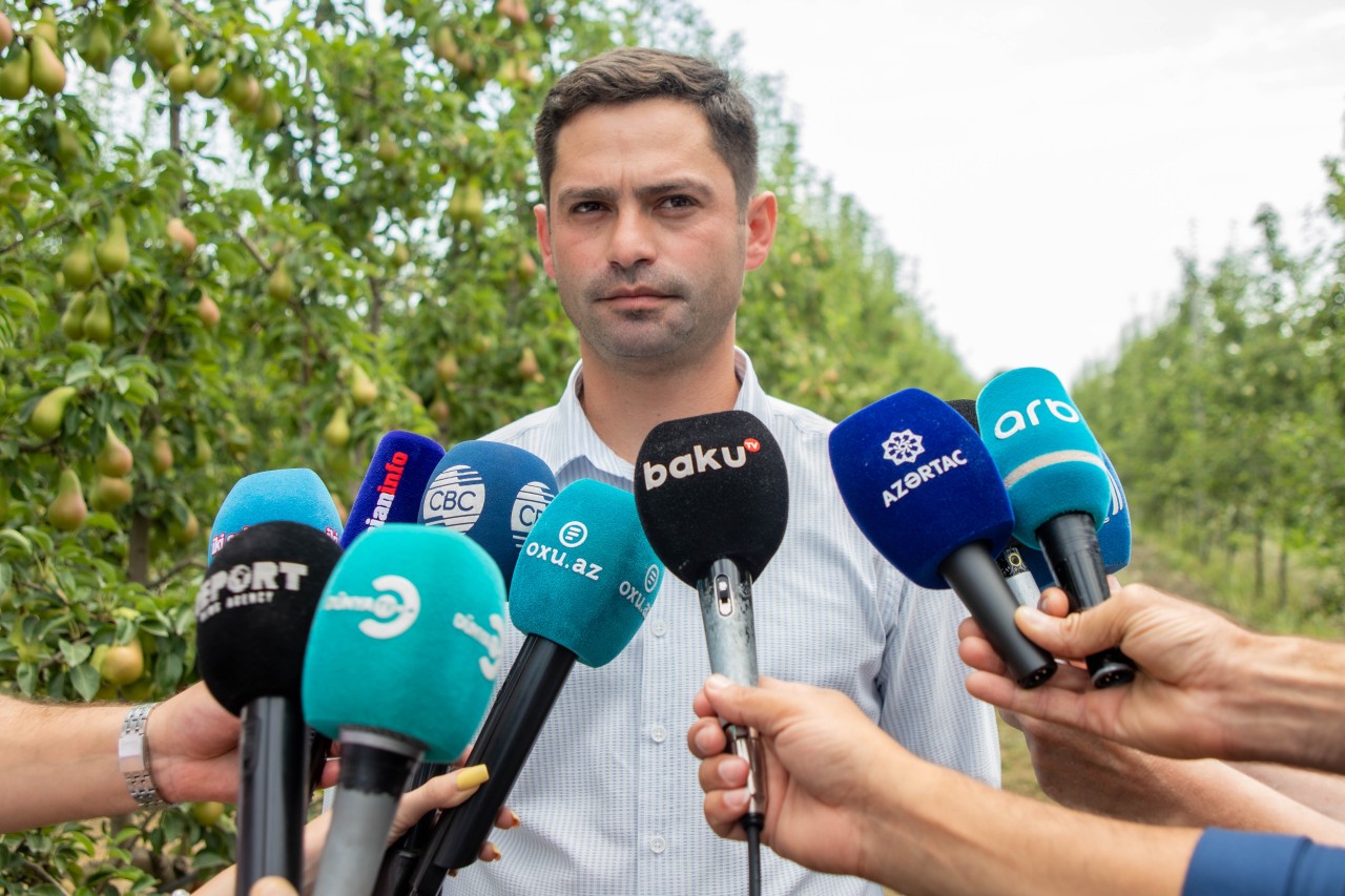Quba, Qusar və Xaçmazda təsərrüfatlara mediatur təşkil edilib - FOTOLAR