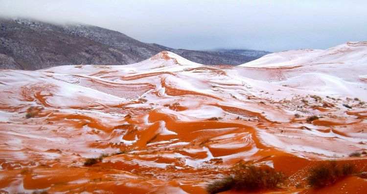 Sahara səhrasına qar yağdı -  FOTOLAR