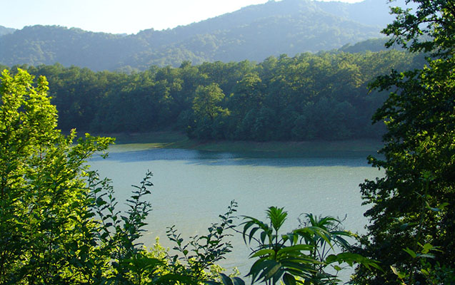 Azərbaycanda nəhəng park salınır -  Sahəsi 100 min hektar