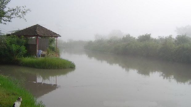 Kür çayının sululuq səviyyəsi artdı 