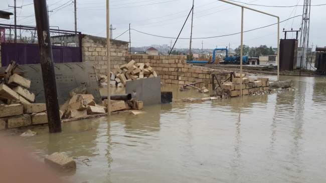 Cəlilabadda FƏLAKƏT:  Yaşayış evləri su altında qaldı