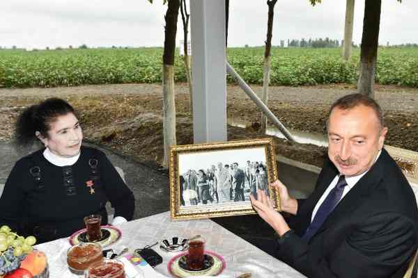 Prezident məşhur pambıqçı qadını mükafatlandırdı -  FOTOLAR