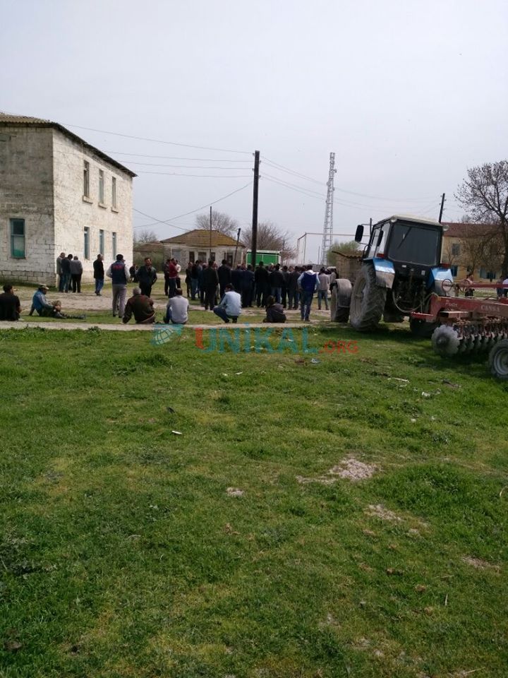 Şabran icra başçısı kənd sakinlərini ayağa qaldırdı:   Əkin sahələrini şumlatdırdı (VİDEO-FOTO)