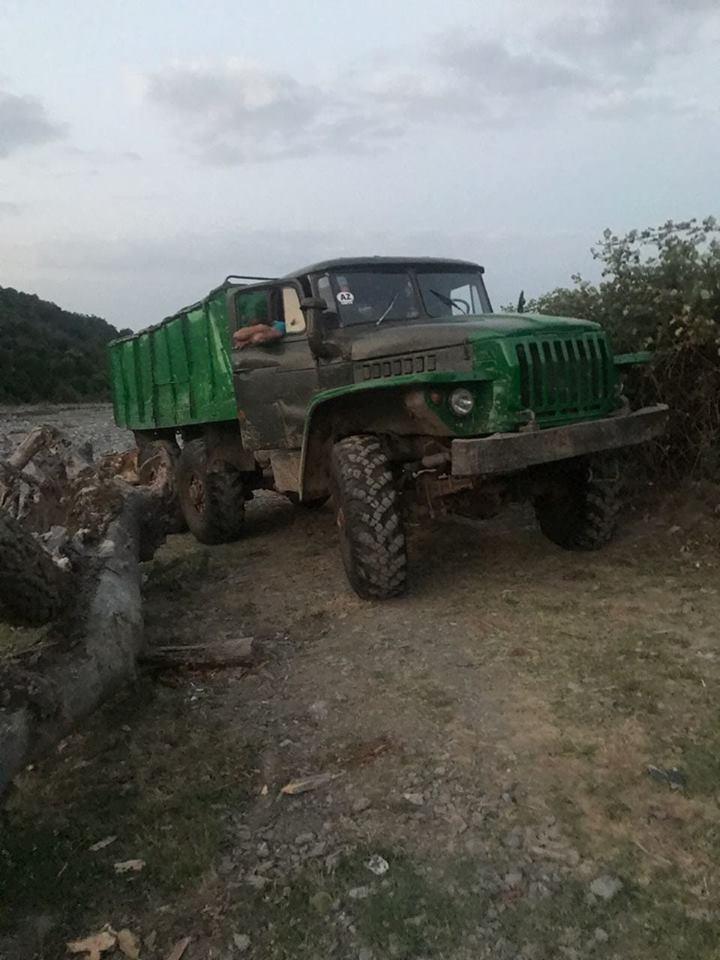 Qanunsuz yolla əldə edilmiş meşə materialı aşkarlandı  - FOTO