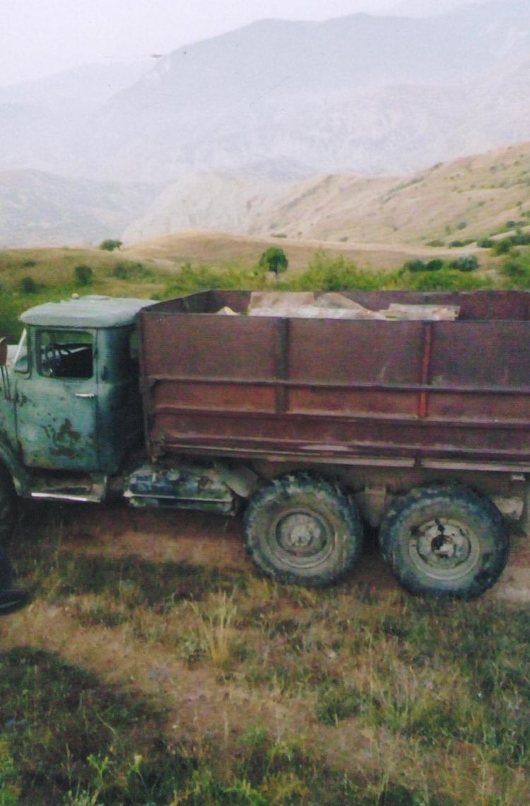 Meşədə ağacları qırıb apararkən yaxalandılar -  FOTO