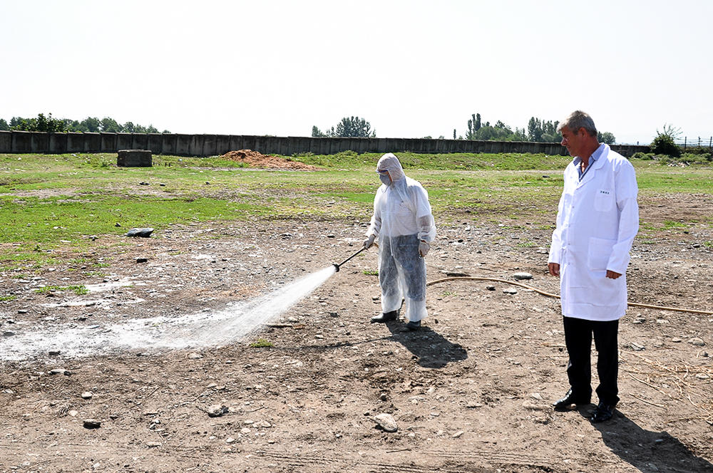 Qurbanlıq heyvanların satılacağı yerlər dezinfeksiya edildi 