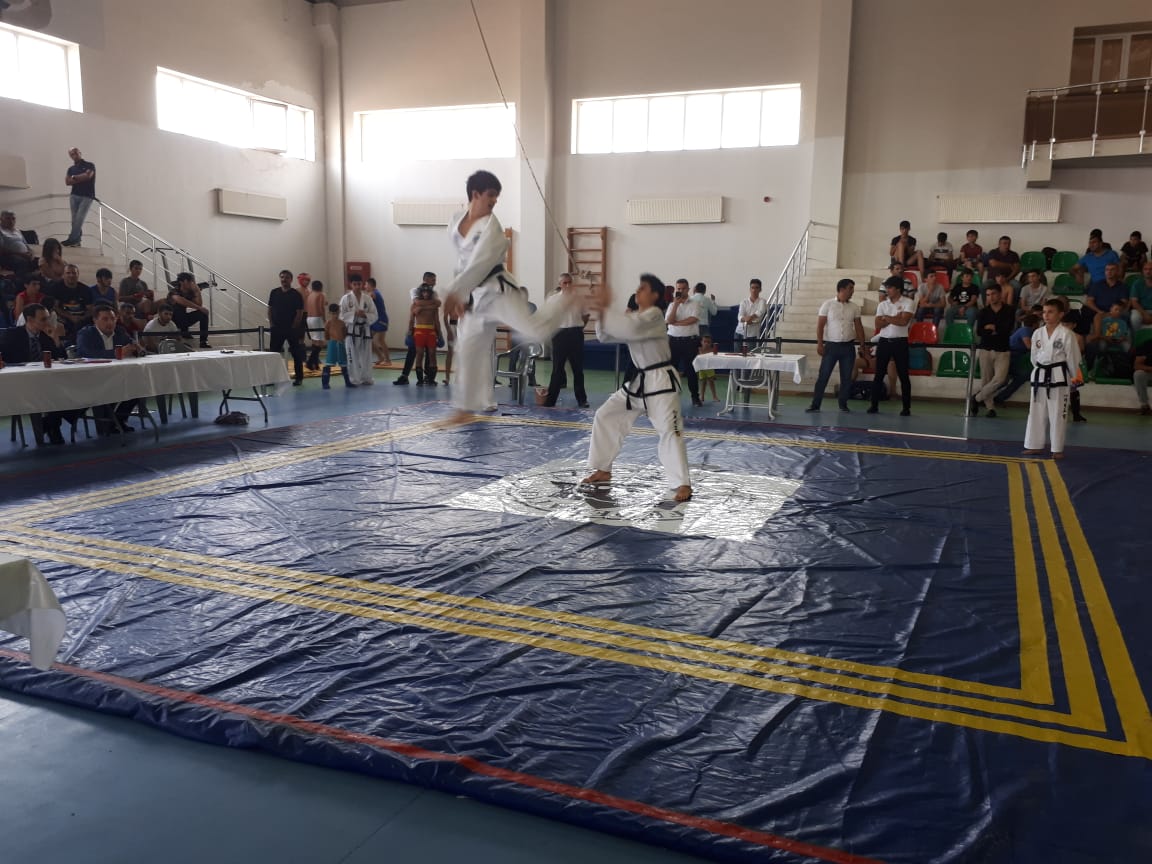 Azərbaycanda möhtəşəm döyüş festivalı   - FOTOLAR (VİDEO)