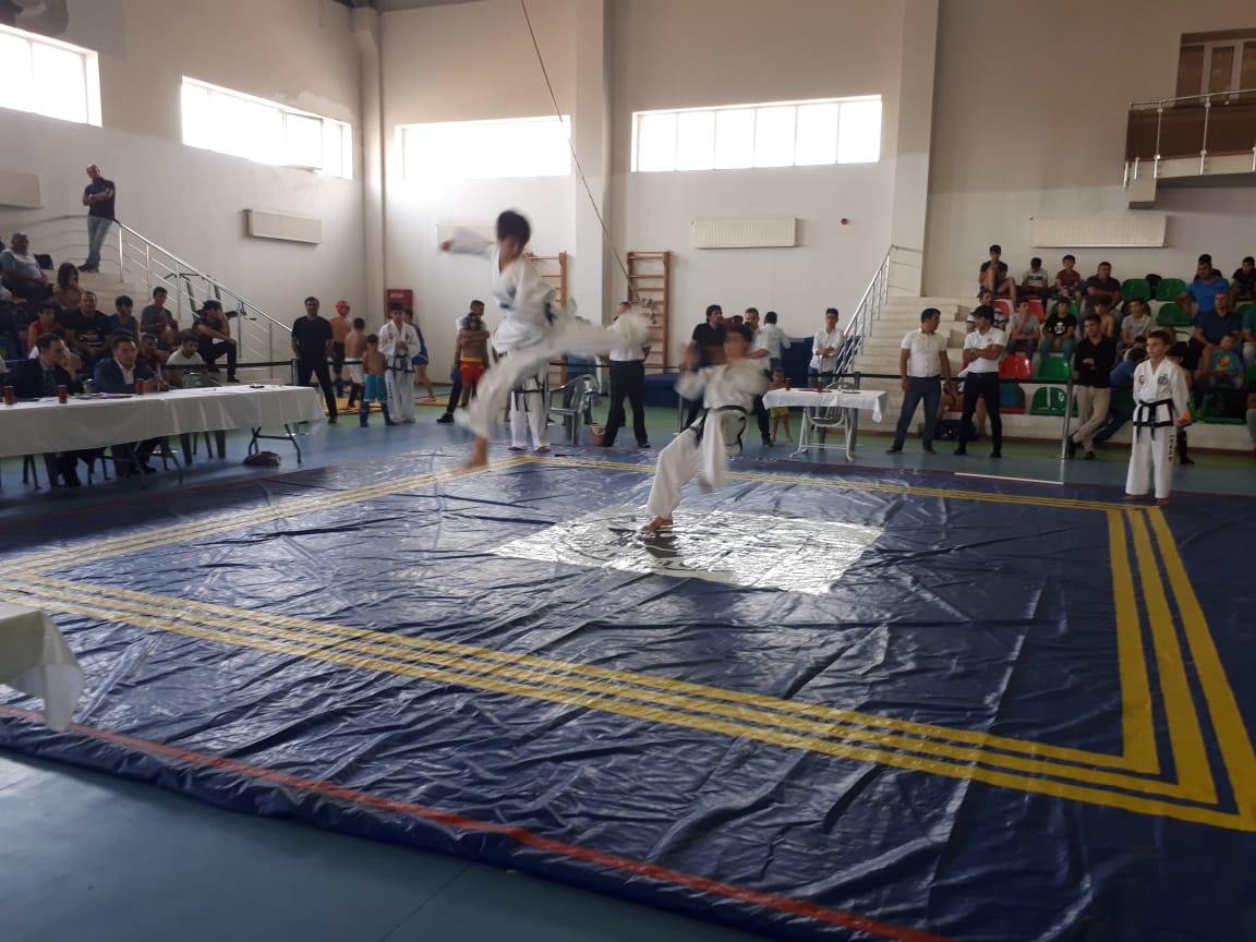 Azərbaycanda möhtəşəm döyüş festivalı   - FOTOLAR (VİDEO)