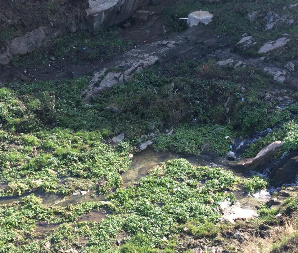 Qarasu çayı hövzəsinə tullantılar atıldı   - Direktora məcburi göstəriş verildi (FOTO)