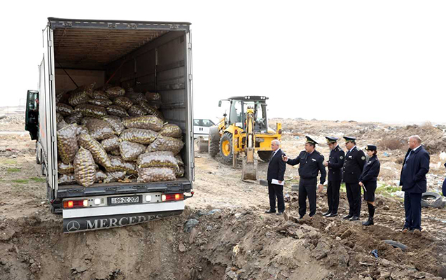 Sumqayıtda 26 ton kartof məhv edildi - FOTO