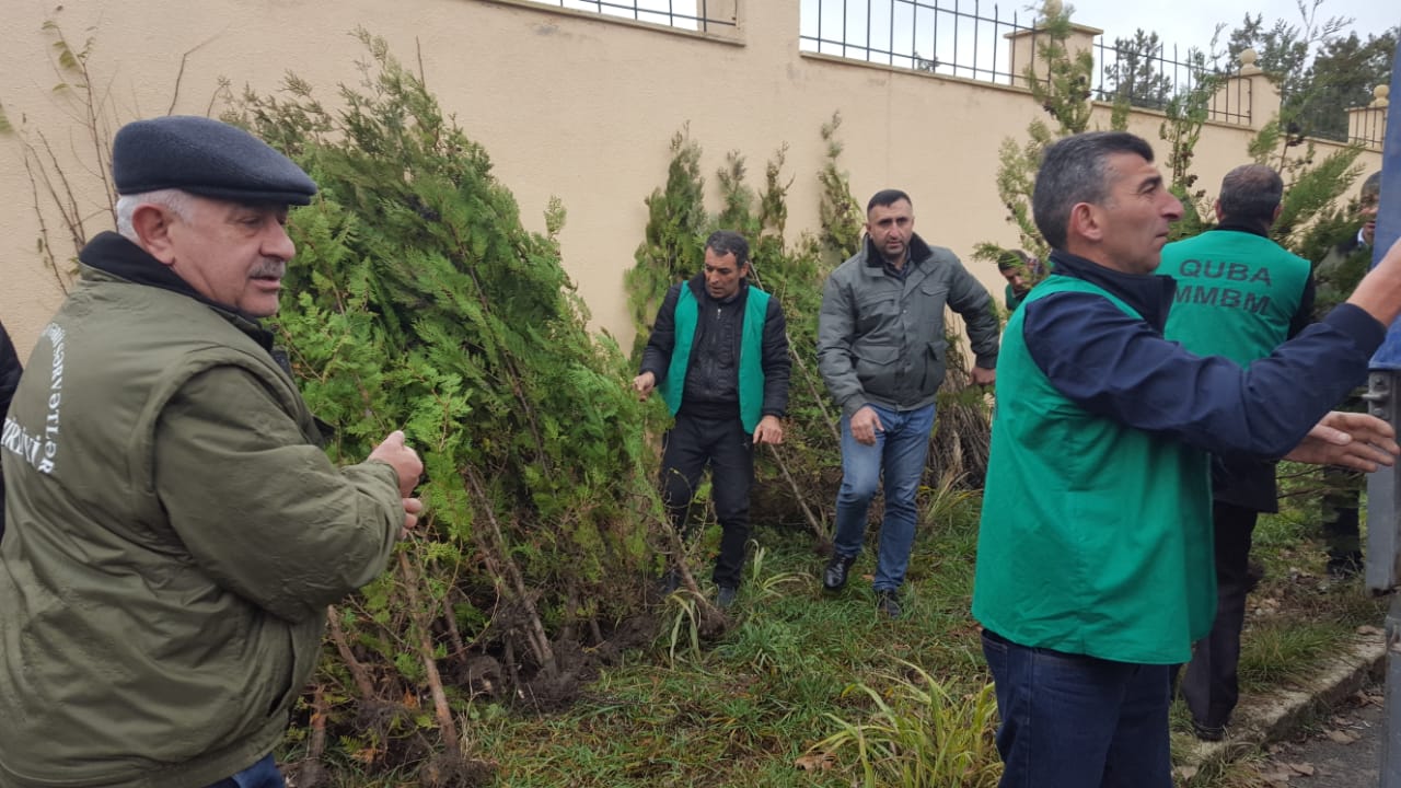 120 minə yaxın pulsuz ağac tingi paylanıldı   - FOTO