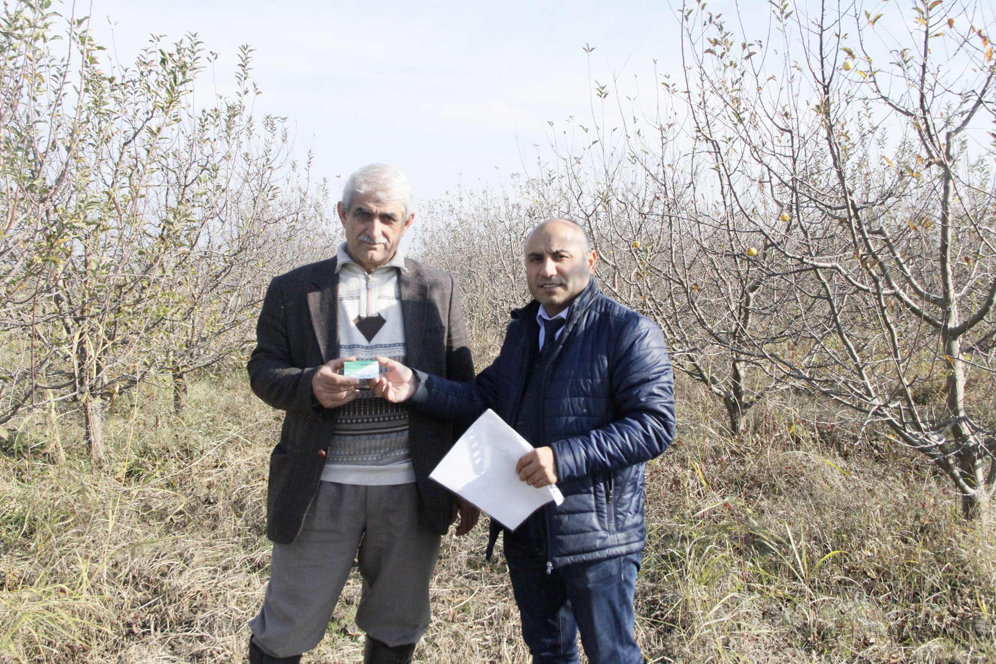 Təsərrüfat sahiblərinə Fermer kartı verilir    - FOTO