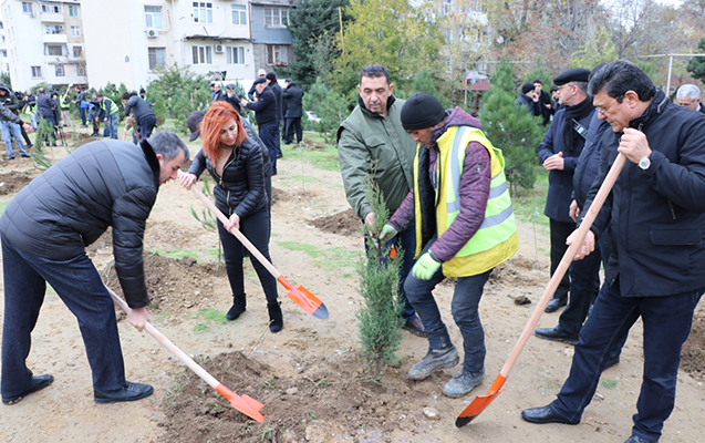  Nazirliyin kampaniyasına  Nərimanov İcra Hakimiyyəti də qoşuldu