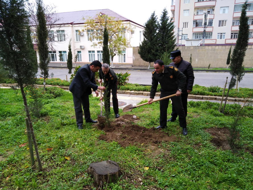 Ümumordu iməciliyi keçirildi -  FOTOLAR