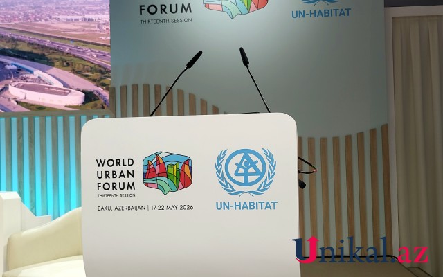 WUF13-də ikinci gün nələr olacaq? - SİYAHI